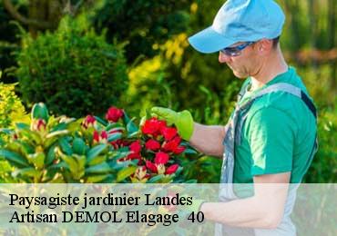 Paysagiste jardinier 40 Landes  Artisan DEMOL Elagage  40