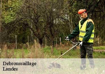 Debroussaillage Landes 