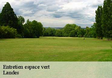 Entretien espace vert Landes 