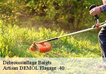 Debroussaillage  baigts-40380 Artisan DEMOL Elagage  40