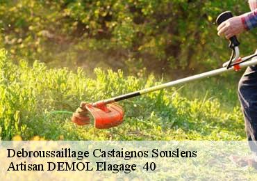 Debroussaillage  castaignos-souslens-40700 Artisan DEMOL Elagage  40