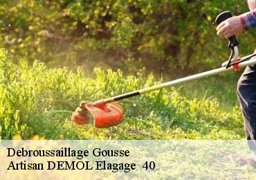 Debroussaillage gousse-40465 Artisan DEMOL Elagage 40