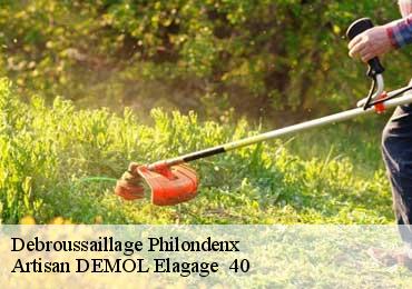 Debroussaillage  philondenx-40320 Artisan DEMOL Elagage  40