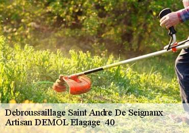 Debroussaillage  saint-andre-de-seignanx-40390 Artisan DEMOL Elagage  40