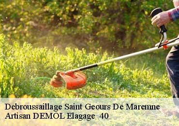 Debroussaillage  saint-geours-de-maremne-40230 Artisan DEMOL Elagage  40