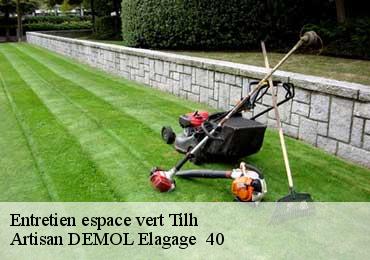 Entretien espace vert  tilh-40360 Artisan DEMOL Elagage  40