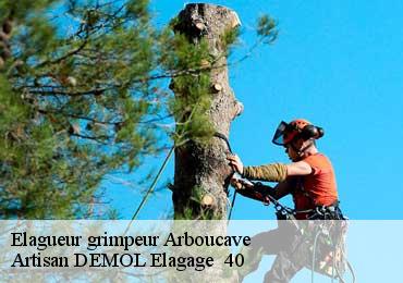 Elagueur grimpeur  arboucave-40320 Artisan DEMOL Elagage  40