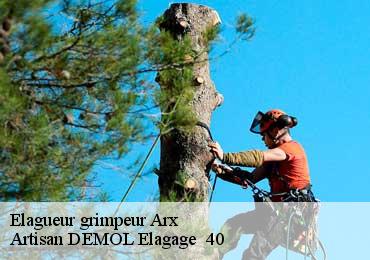 Elagueur grimpeur  arx-40310 Artisan DEMOL Elagage  40