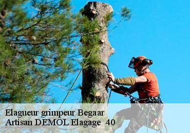 Elagueur grimpeur  begaar-40400 Artisan DEMOL Elagage  40