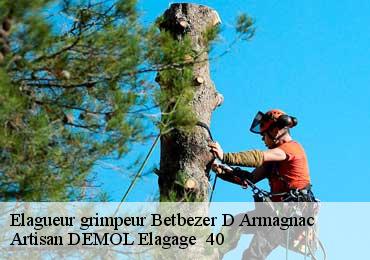Elagueur grimpeur betbezer-d-armagnac-40240 Artisan DEMOL Elagage 40
