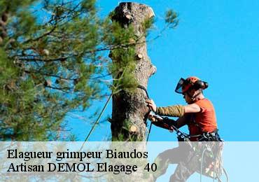 Elagueur grimpeur biaudos-40390 Artisan DEMOL Elagage 40