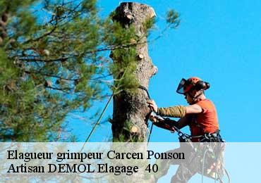 Elagueur grimpeur  carcen-ponson-40400 Artisan DEMOL Elagage  40