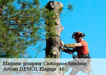 Elagueur grimpeur  castaignos-souslens-40700 Artisan DEMOL Elagage  40