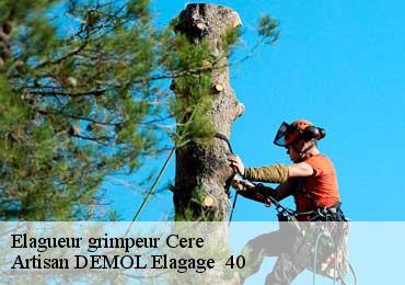 Elagueur grimpeur  cere-40090 Artisan DEMOL Elagage  40