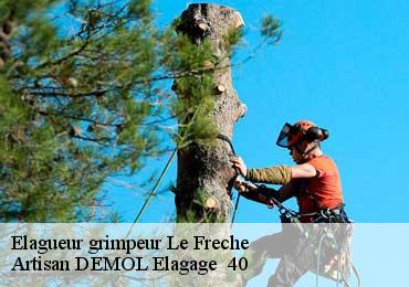 Elagueur grimpeur  le-freche-40190 Artisan DEMOL Elagage  40