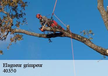 Elagueur grimpeur  40350