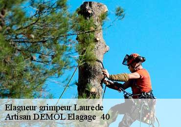 Elagueur grimpeur  laurede-40250 Artisan DEMOL Elagage  40