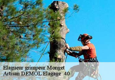 Elagueur grimpeur  monget-40700 Artisan DEMOL Elagage  40