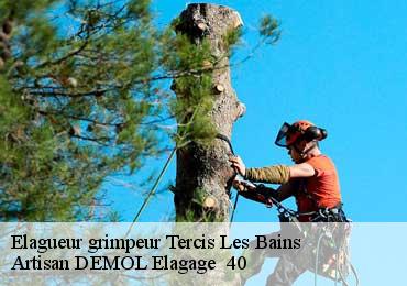 Elagueur grimpeur  tercis-les-bains-40180 Artisan DEMOL Elagage  40