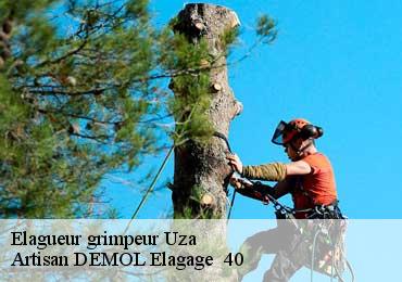 Elagueur grimpeur  uza-40170 Artisan DEMOL Elagage  40