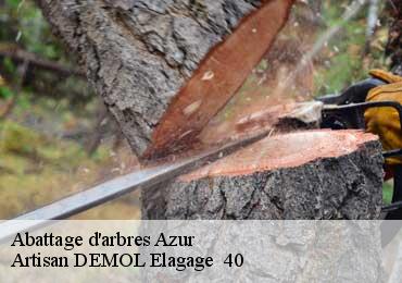 Abattage d'arbres  azur-40140 Artisan DEMOL Elagage  40