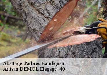 Abattage d'arbres  baudignan-40310 Artisan DEMOL Elagage  40