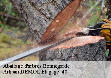 Abattage d'arbres  bonnegarde-40330 Artisan DEMOL Elagage  40