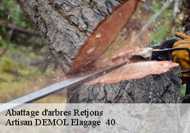 Abattage d'arbres  retjons-40120 Artisan DEMOL Elagage  40