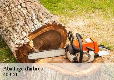 Abattage d'arbres 40320