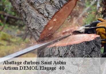 Abattage d'arbres saint-aubin-40250 Artisan DEMOL Elagage 40