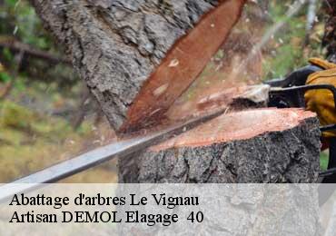 Abattage d'arbres  le-vignau-40270 Artisan DEMOL Elagage  40