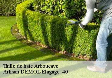 Taille de haie  arboucave-40320 Artisan DEMOL Elagage  40