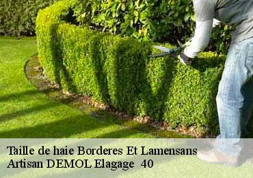 Taille de haie  borderes-et-lamensans-40270 Artisan DEMOL Elagage  40