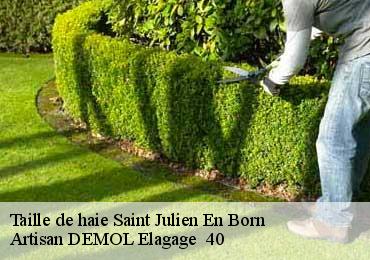 Taille de haie  saint-julien-en-born-40170 Artisan DEMOL Elagage  40