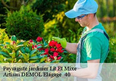 Paysagiste jardinier  lit-et-mixe-40170 Artisan DEMOL Elagage  40