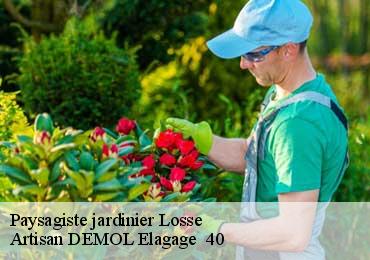 Paysagiste jardinier  losse-40240 Artisan DEMOL Elagage  40