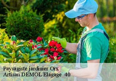 Paysagiste jardinier  orx-40230 Artisan DEMOL Elagage  40