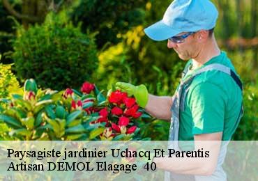 Paysagiste jardinier uchacq-et-parentis-40090 Artisan DEMOL Elagage 40