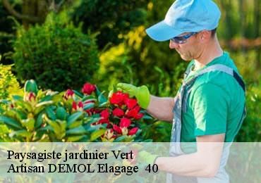 Paysagiste jardinier  vert-40420 Artisan DEMOL Elagage  40