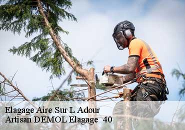 Elagage  aire-sur-l-adour-40800 Artisan DEMOL Elagage  40