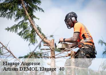 Elagage  angresse-40150 Artisan DEMOL Elagage  40