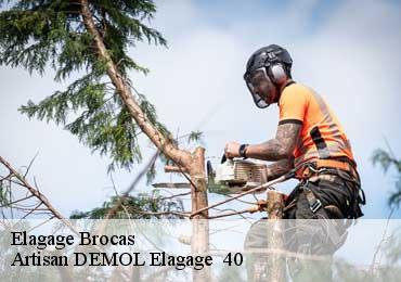 Elagage  brocas-40420 Artisan DEMOL Elagage  40