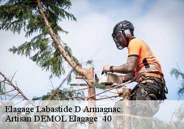 Elagage  labastide-d-armagnac-40240 Artisan DEMOL Elagage  40