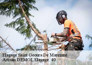 Elagage saint-geours-de-maremne-40230 Artisan DEMOL Elagage 40