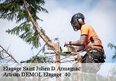 Elagage  saint-julien-d-armagnac-40240 Artisan DEMOL Elagage  40