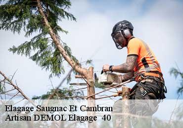 Elagage  saugnac-et-cambran-40180 Artisan DEMOL Elagage  40