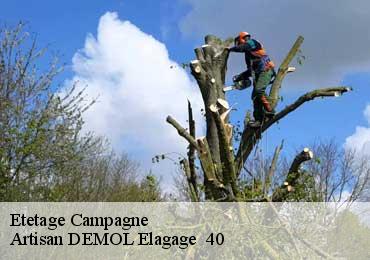 Etetage  campagne-40090 Artisan DEMOL Elagage  40