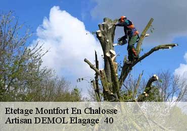 Etetage  montfort-en-chalosse-40380 Artisan DEMOL Elagage  40