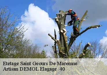 Etetage  saint-geours-de-maremne-40230 Artisan DEMOL Elagage  40